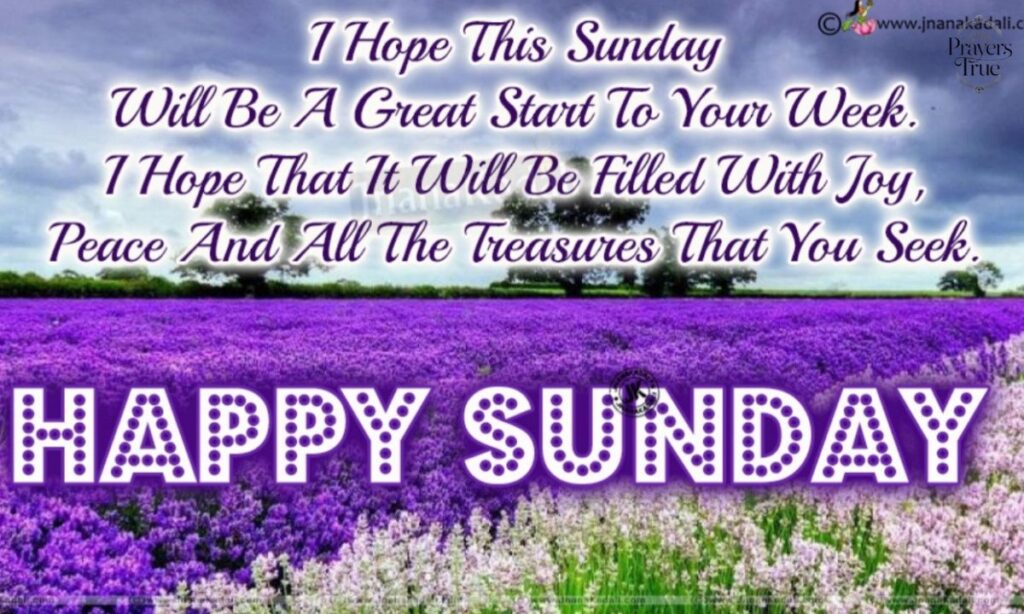 Happy Sunday Messages for Friends and Loved Ones