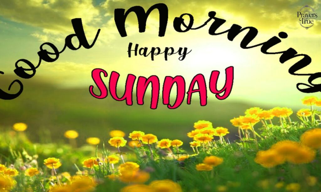Wonderful Sunday Wishes