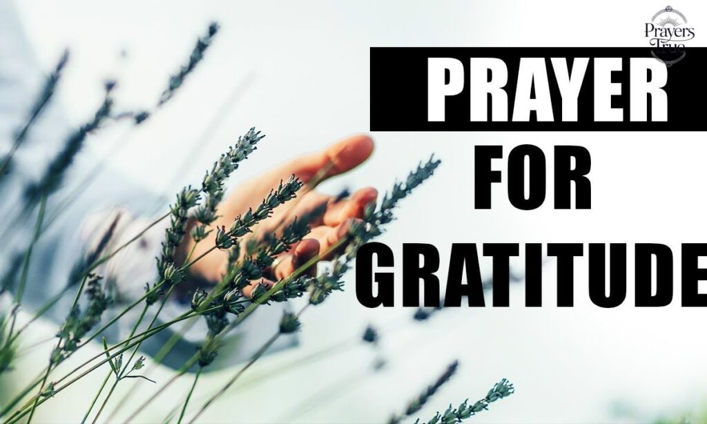 Prayer for gratitude and contentment hd image