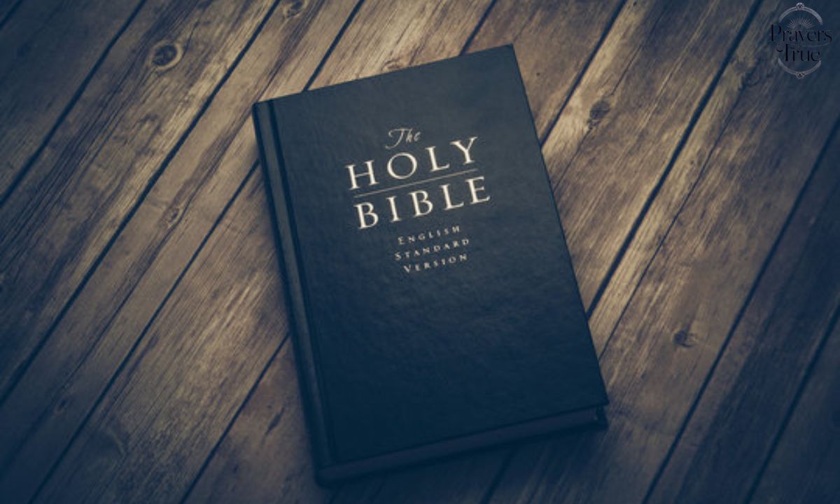 The Bible tells us to