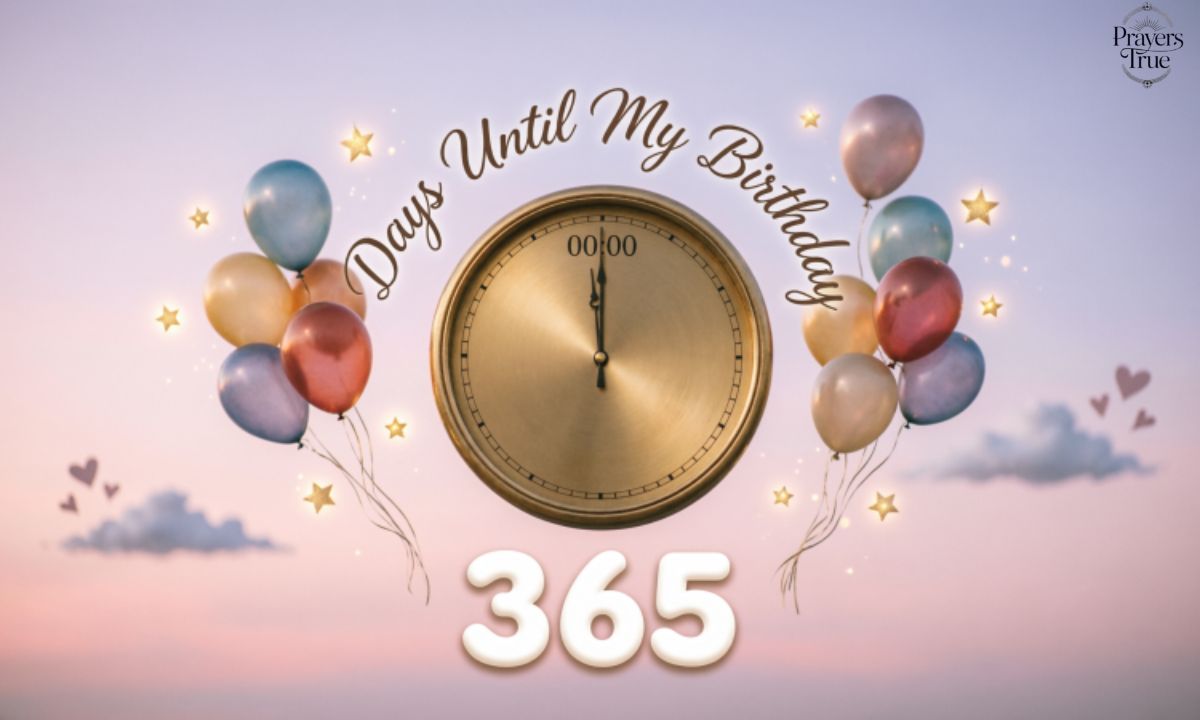 📅 Days Birthday Countdown Quotes 



