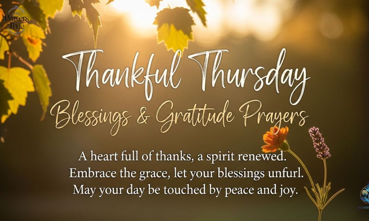 Gratefulness For All Blessings This Thursday Morning