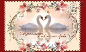 80+ Good Evening Messages for Friends