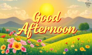 100+ Good Afternoon Messages