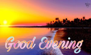 110+ Best Good Evening Message for Friend