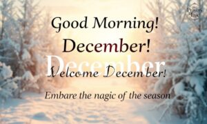 60+ Good Morning December Quotes and Messages 