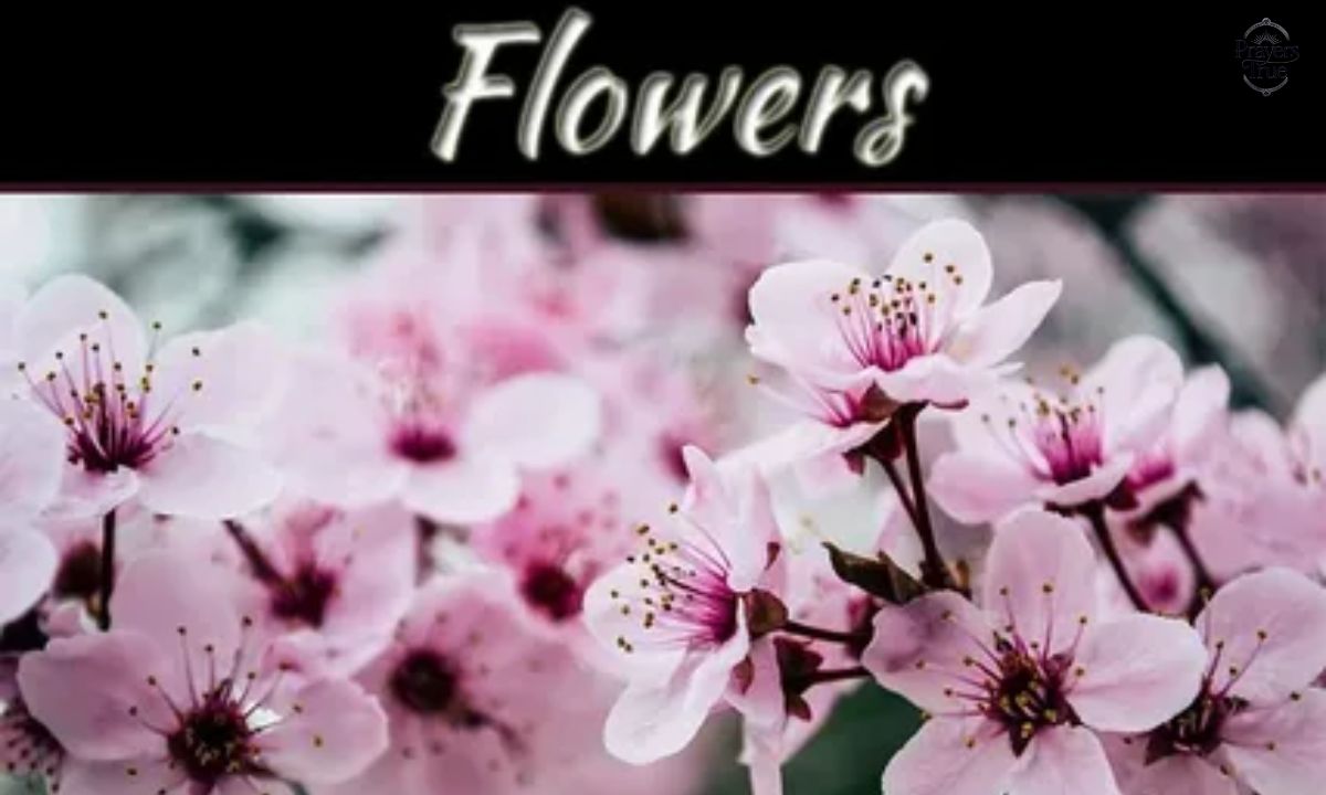 Trending Flower Captions