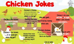 Chicken Jokes