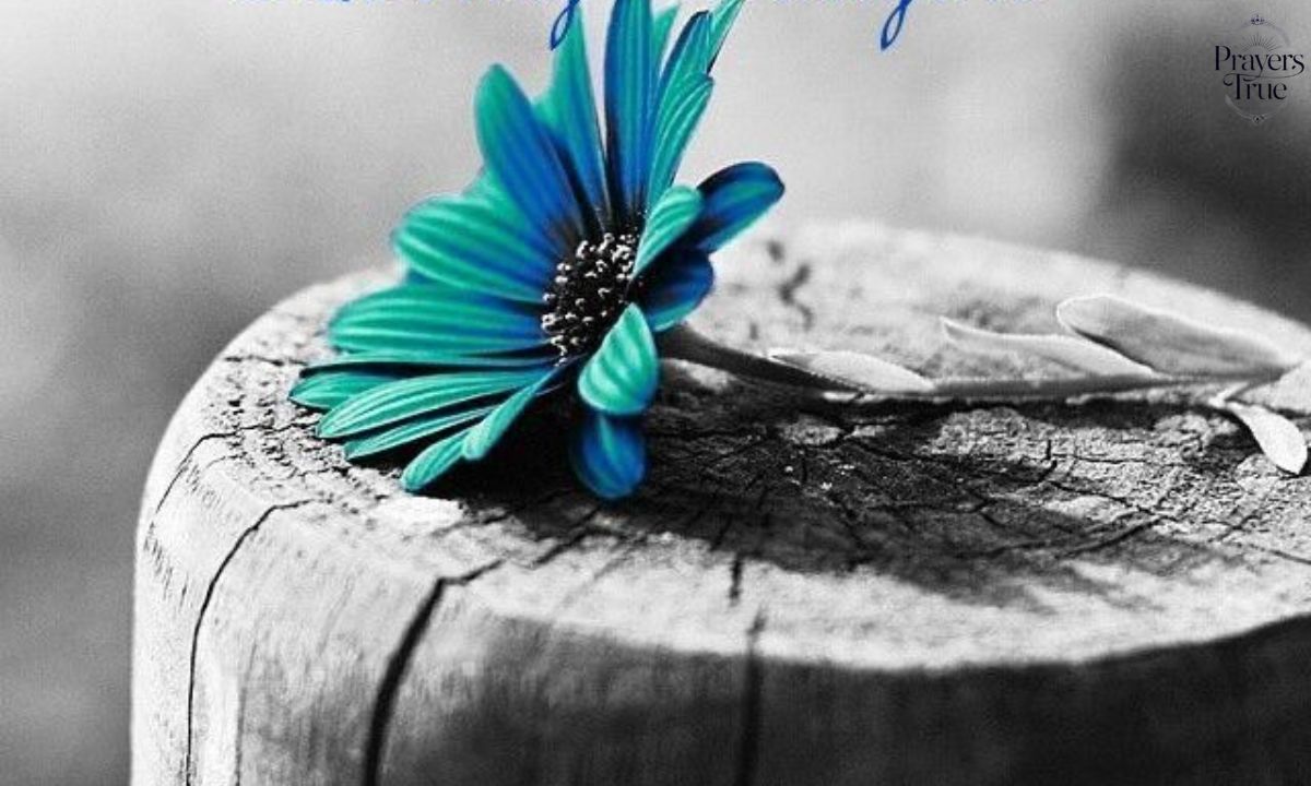 60+ Amazing Appreciation Prayer Messages to Bless Someone's Heart