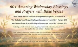 60+ Amazing Wednesday Blessings and Prayers with Bible Verses 