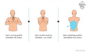 Lat Prayer Exercise  hd image