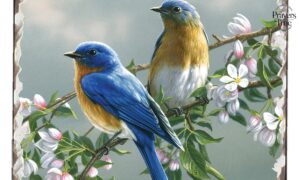 _Thursday Morning Prayer with Bible Verses