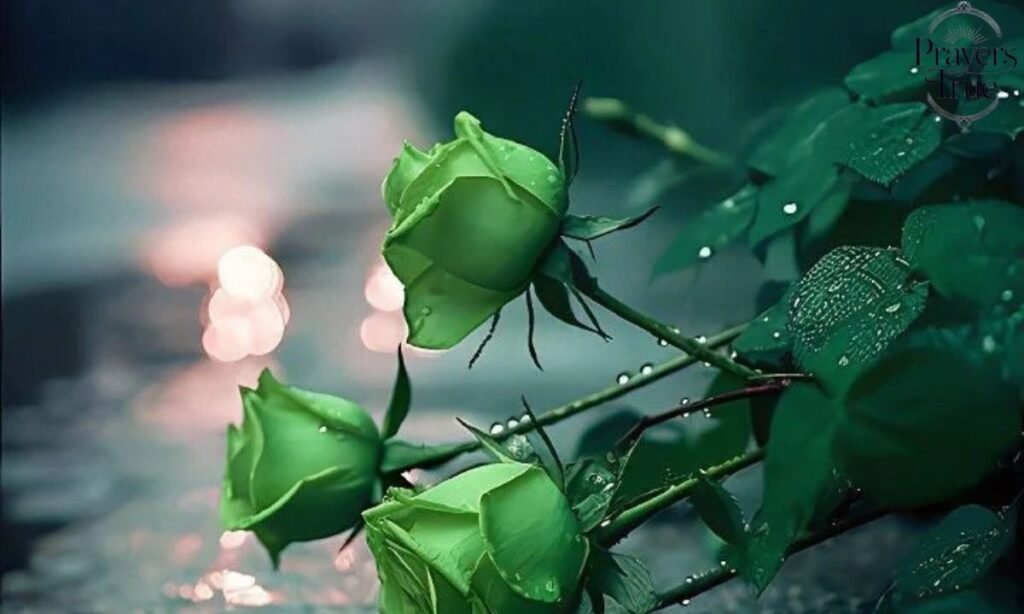 Characteristics of Blessed Rain